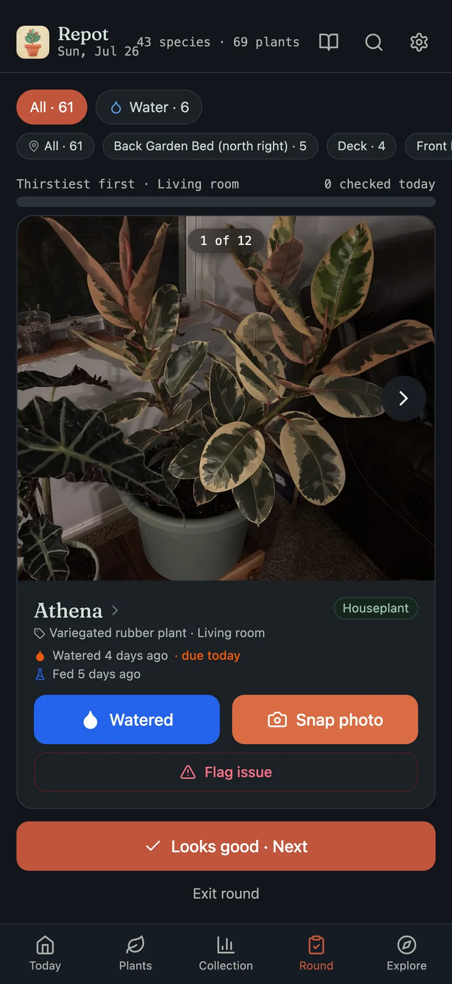 The daily care round, dark mode