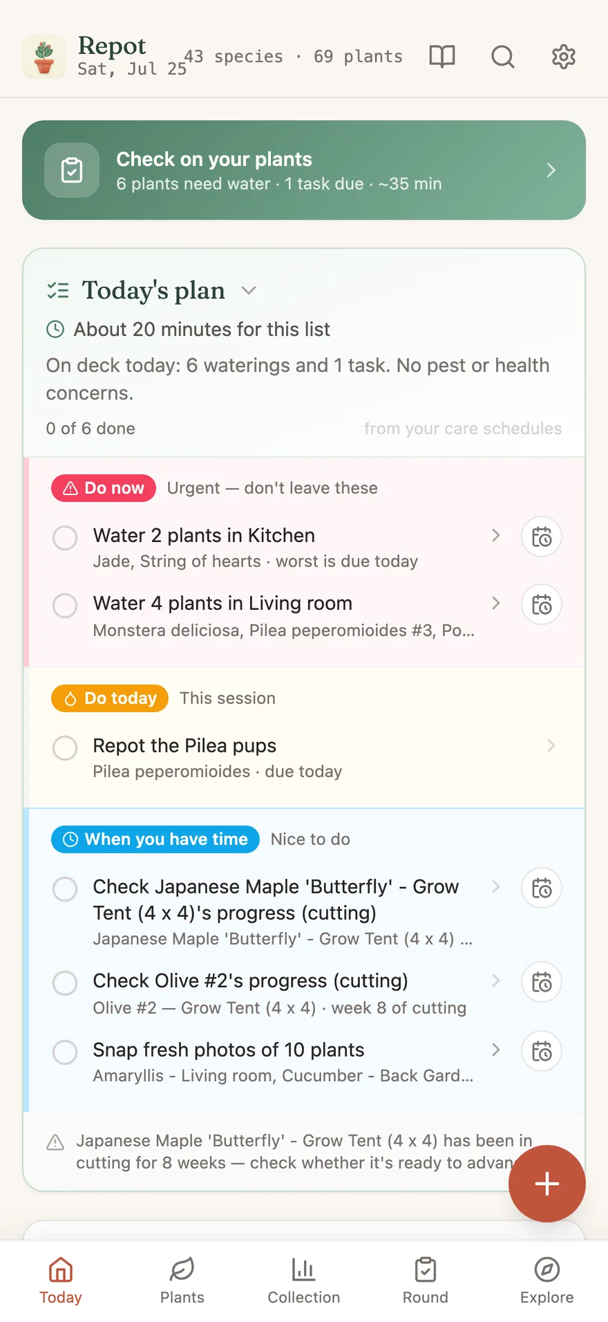 Repot's Today screen in light mode: the daily plan with Do now, Do today, and When you have time buckets