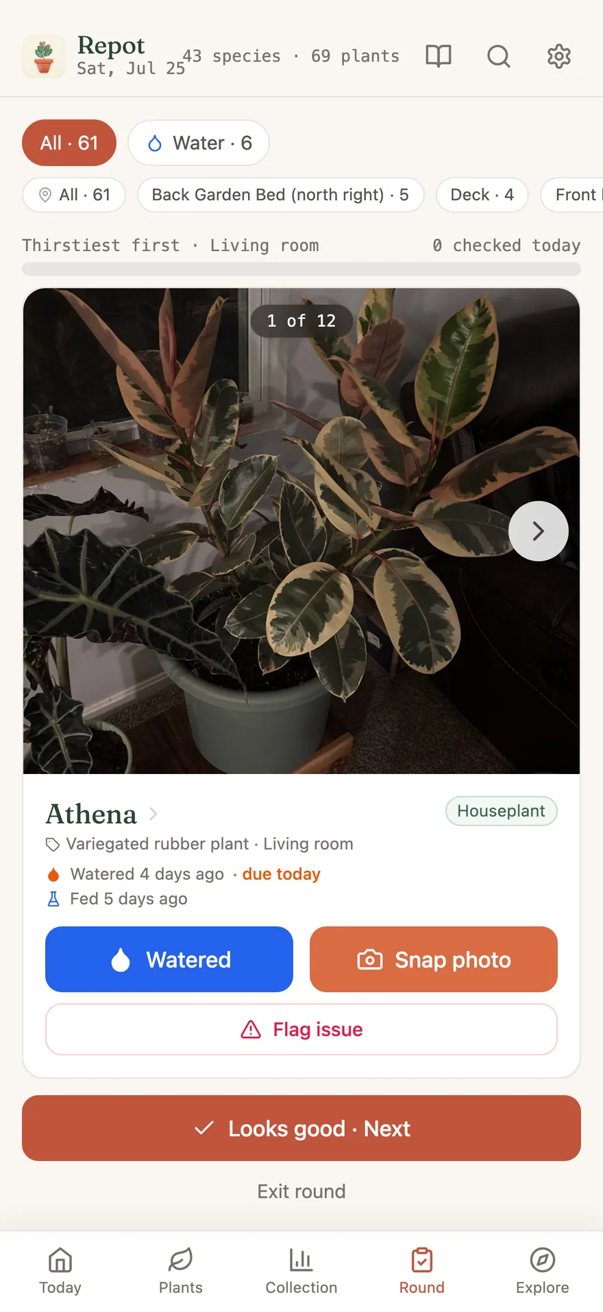The daily care round, light mode: one full-photo plant card with Watered and Snap photo buttons